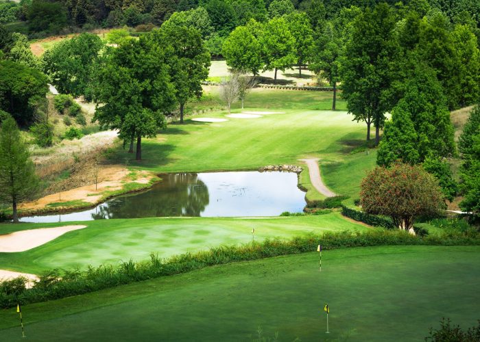 Lush green golf course surrounded by trees, featuring a serene pond at Cathkin Park, KZN, South Africa.